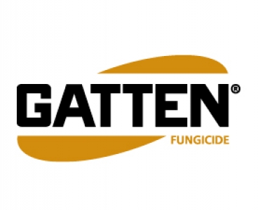 Gatten Logo