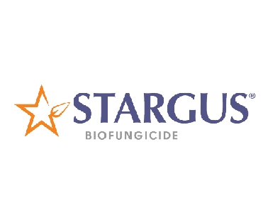 Stargus Logo